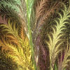 fern-grass.jpg (232009 bytes)